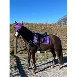 Purple crown jumping / Lilla spring med krone
